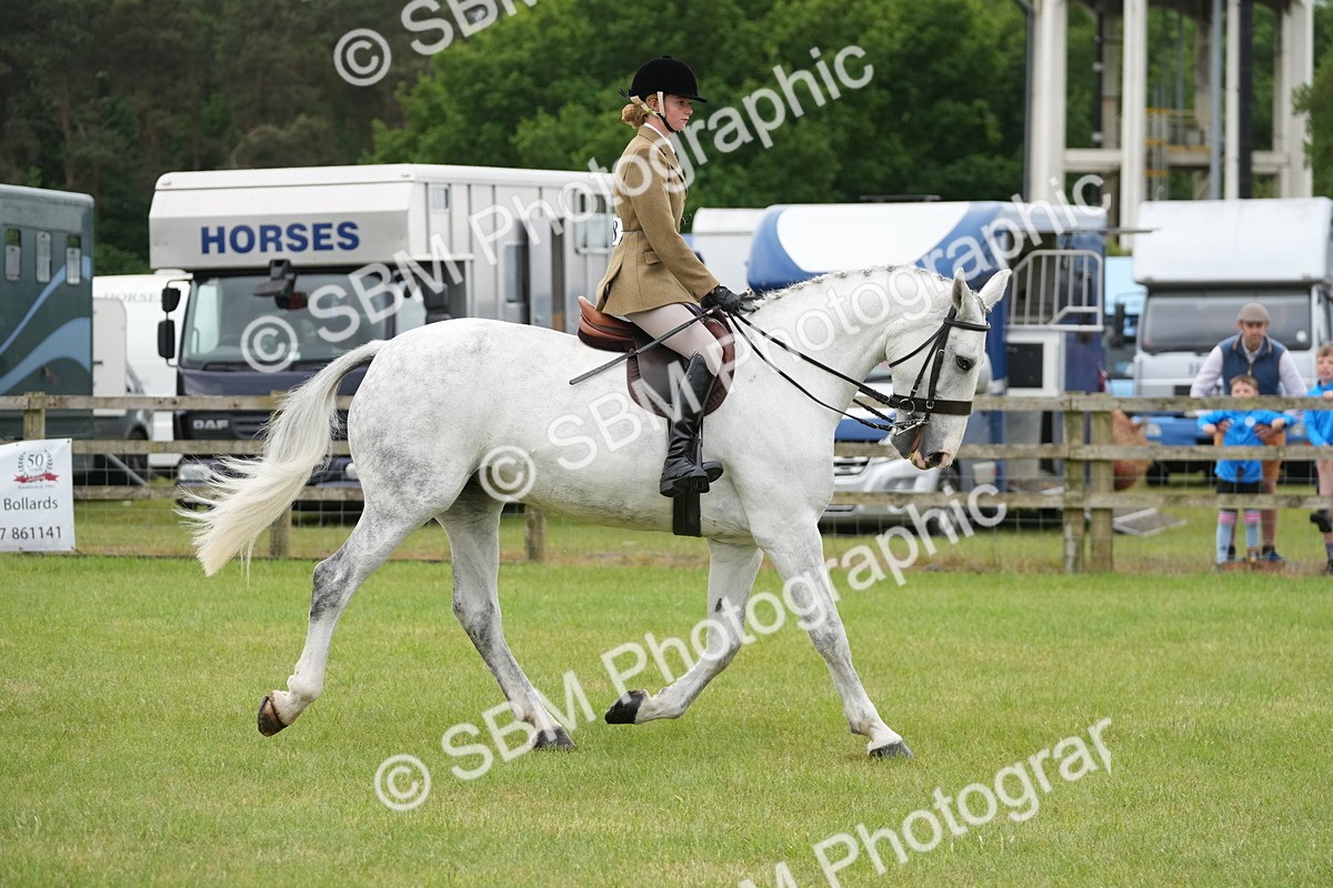 SBM_12516 - Class 97-98 - LIHS BSHA Rising Star Working Show Horse Hunter