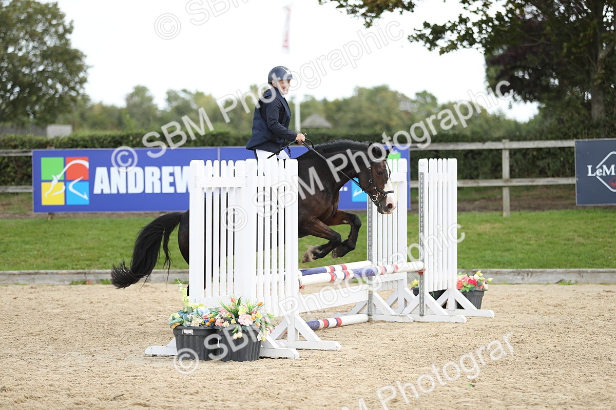SBM_06483 - J29 - Senior Horse & Pony 65cm Championship