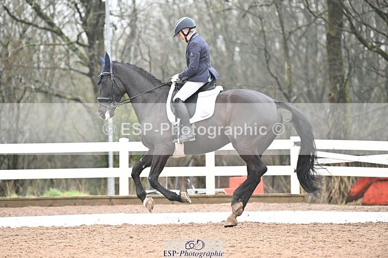 250215-140047-03980 - 228-Louise.Hutchinson-Shovern.Noire