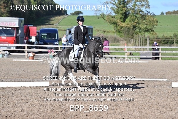 BPP_8659 - LONG ARENA