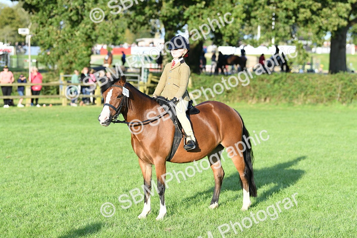 SBM_54114 - S23 - 1st Ridden Mountain & Moorland Pony