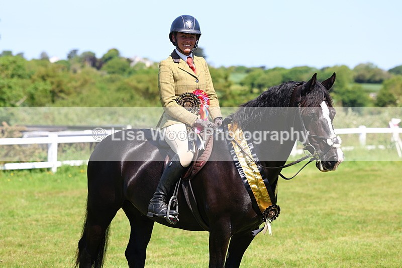 3E7A6820 - Working Hunter Pony Championship