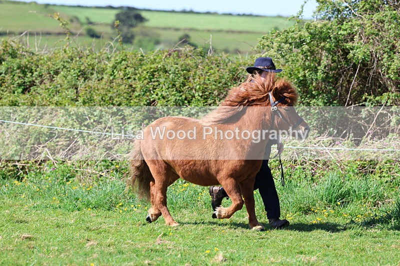 3E7A9344 - Class 16: Best Grass Kept