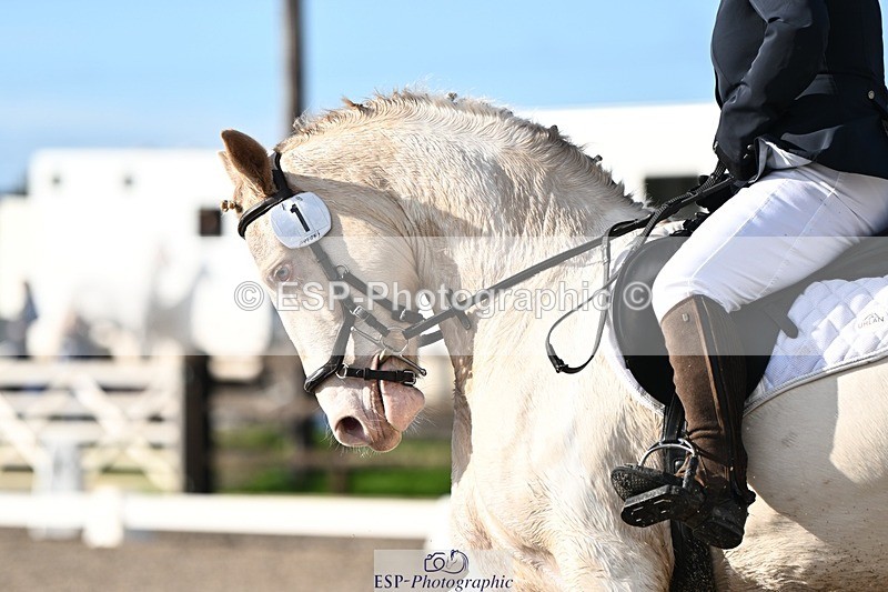 231105-104241-00310 - Cls 2 Prelim 7 Start to 11.10 break