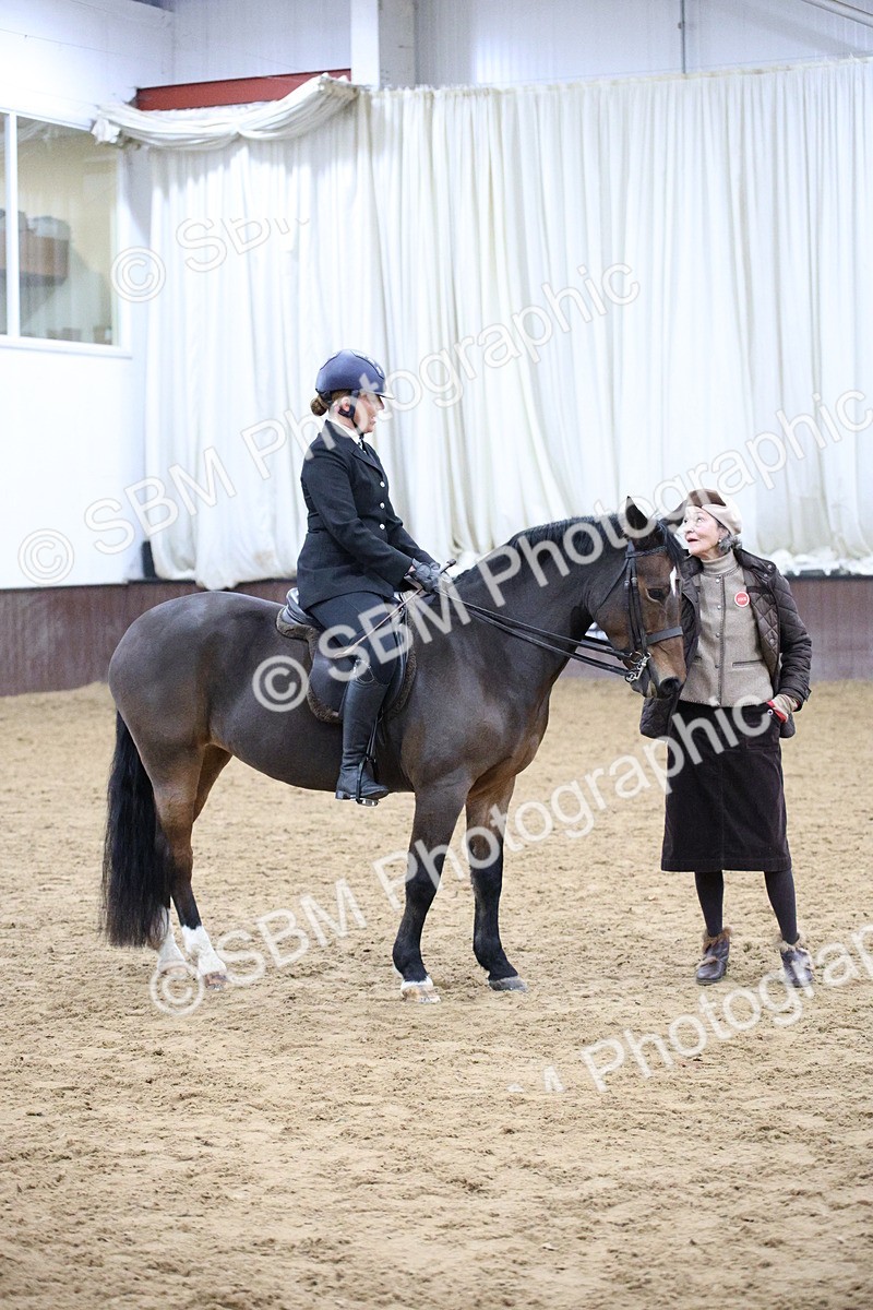 5K7A6087 - Class 48 - Ridden Mare