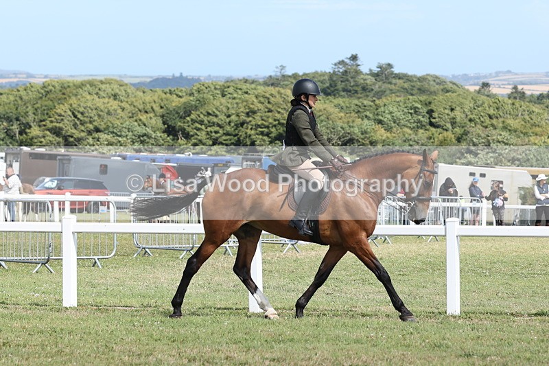 JPP_2275 - Class 19: Working Hunter 60cm