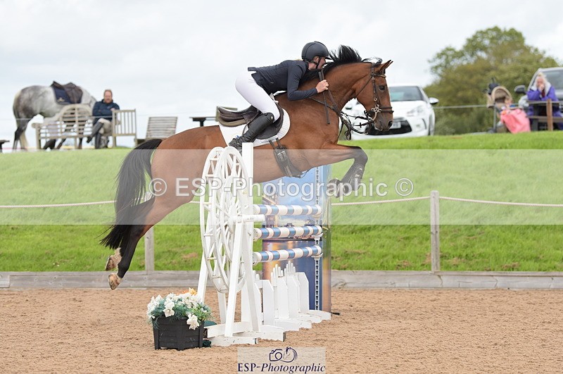 230813A-134810-13291 - Cls 49 Chard Eq 5yr Old Championship