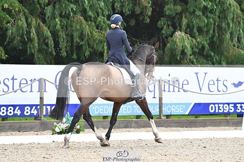 231019-104617-01961 - 103-BEECH.HILL.KIKO.CLOVER-Harriet.Blair-DR