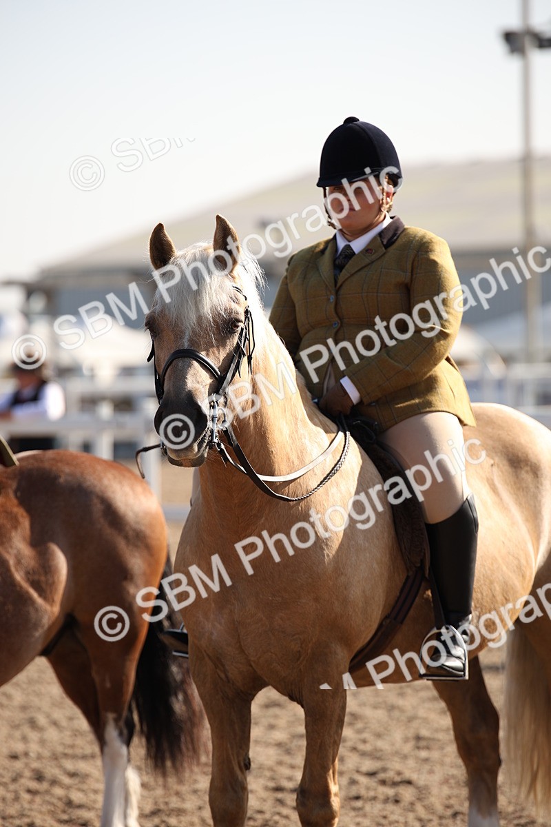 SBM_00695 - Class 14 Ridden M&M Wildcard
