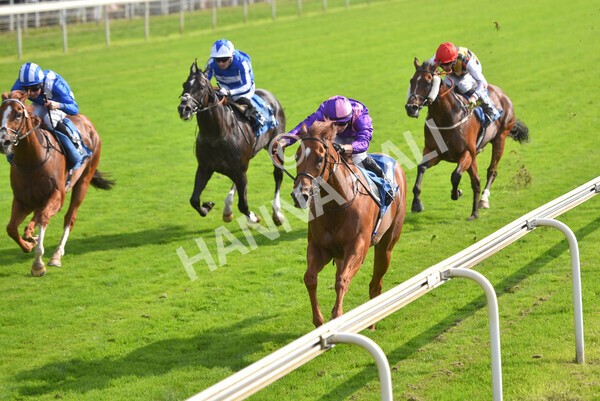 yr05092021r3-18 - Race 3 3.15pm The BioWaveGo Garrowby Stakes