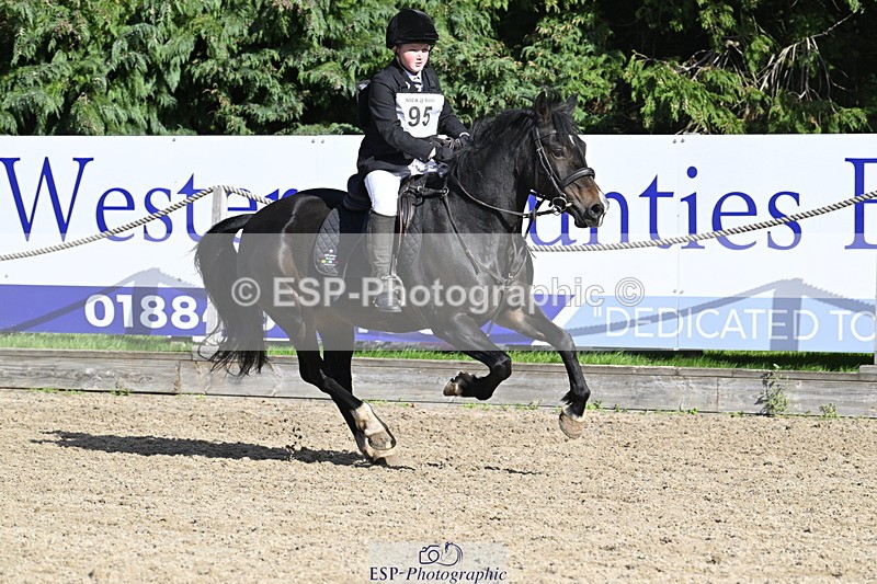 251005A-144629-04578 - Cls 09 Nov 80-85cm