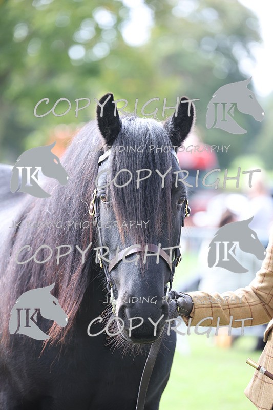 APP_2964 - Class 10a/b M&M in hand