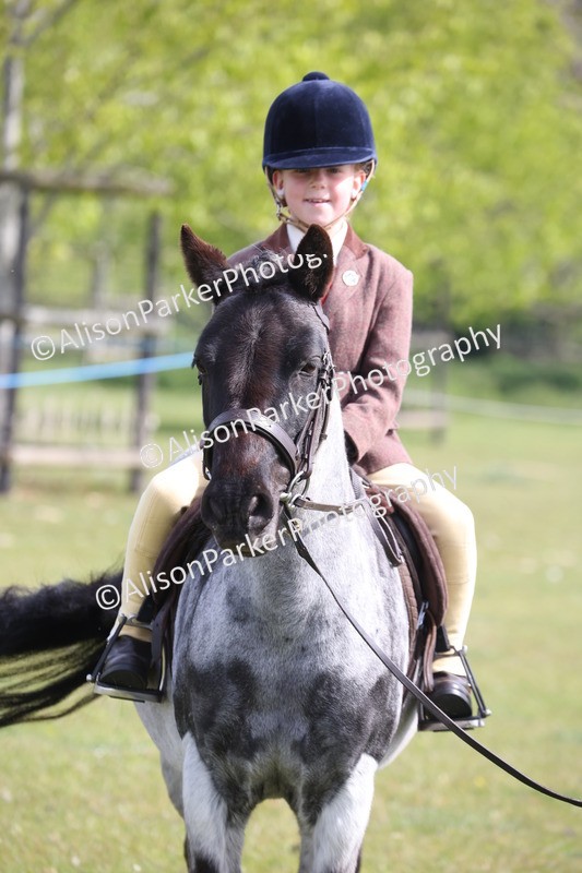 20260426-2533 - Class 31 - Leading Rein