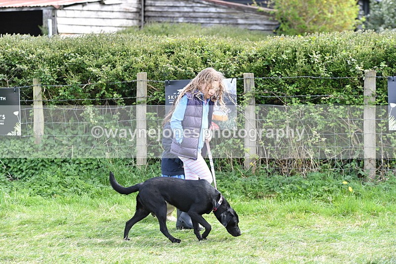 WJ5_0742 - Best in Show Championship