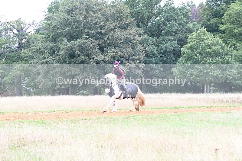 DSC_9682 - Time at Statue 15:11 to 15:58