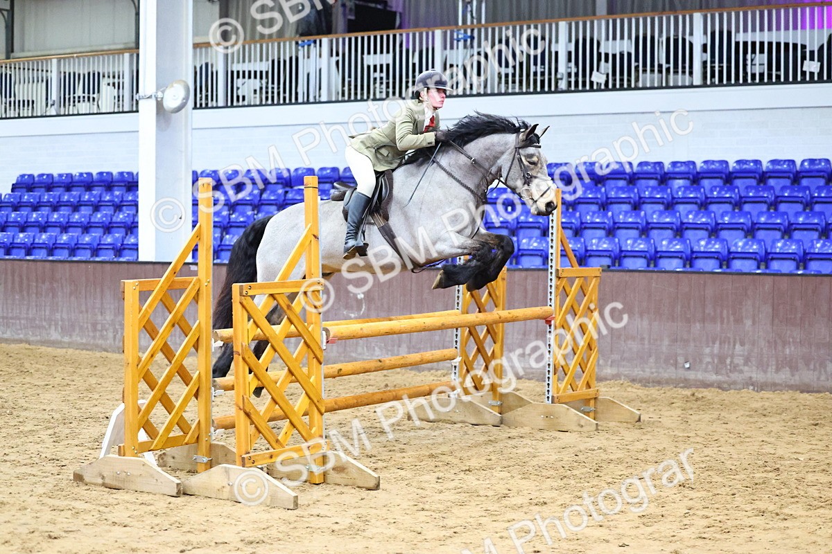 SBM_006591 - Class 43 - RIHS Qualifier Exceeding 43cms