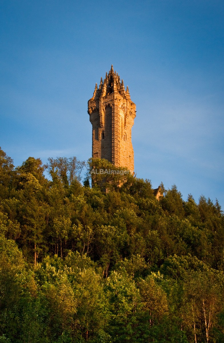 Wallace Monument - Castles, Palaces, Forts and Towers