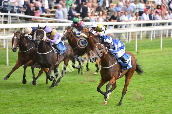 yr10072021r6-9 - Race 6: 4.40pm John Smith's City Walls Stakes