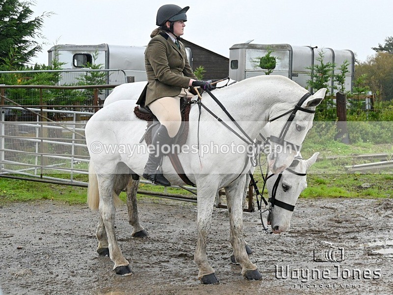 WJ7_8483 - Berks & Bucks Blackcroft Farm 20-10-24