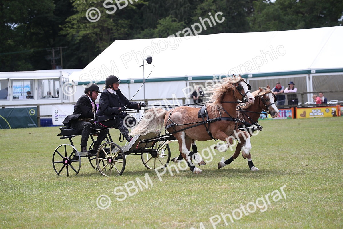 SBM_15508 - Class 90 - Scurry 122cm and Under