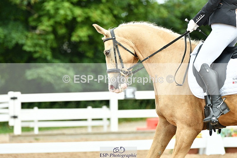 230702A-103740-08055 - Cls 27 Music Novice