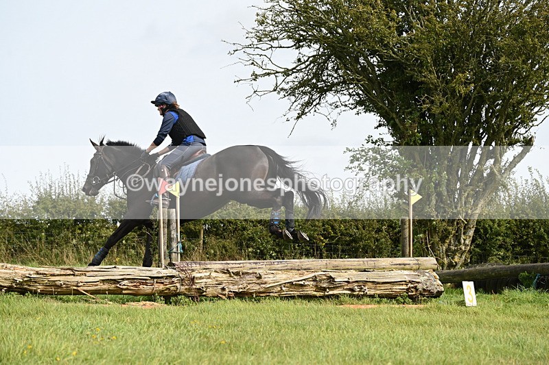 WJ6_9219 - Time 13:21 to 13:29