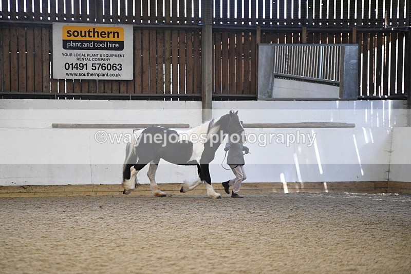 WJ5_5237 - Class 8 In hand cob