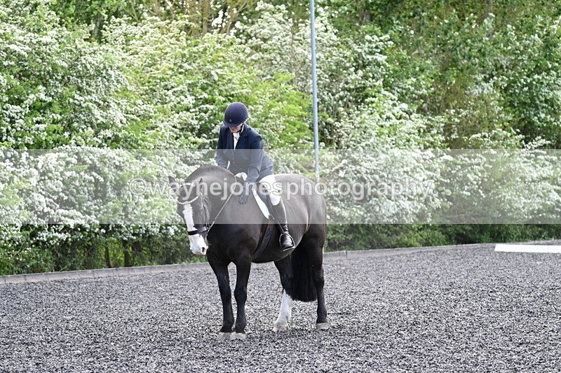 WJ7_9048 - Time 11:32 to 11:54