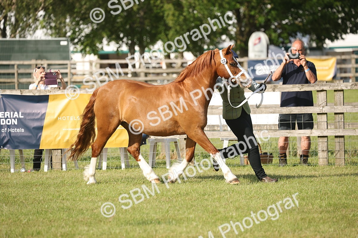 SBM_10487 - Class 33-38 - SSADL RIHS Qualifiers