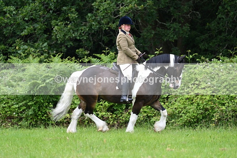 WJ7_2316 - Class 12A Coloured Class