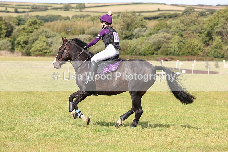 3E7A6569 - Class 1: Trebudannon Open: Pheasant Feeder
