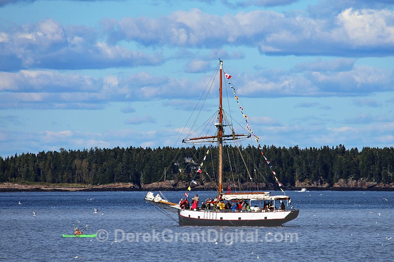 Kayak meets Tall Ship - Boats