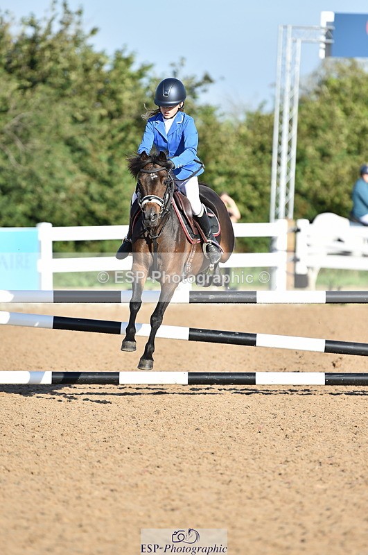 230903A-090216-03430 - Cls 17 Pony Intro 75cm