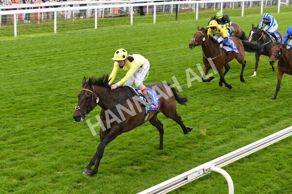 yr11062022r4-15 - Race 4 3.05pm Sky Bet Grand Cup