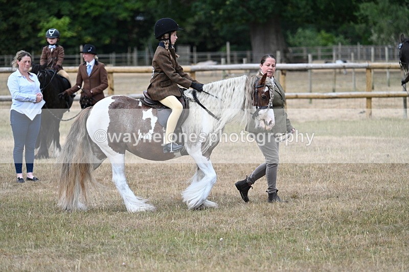 WJ7_6719 - Class 1 Lead Rein Pony