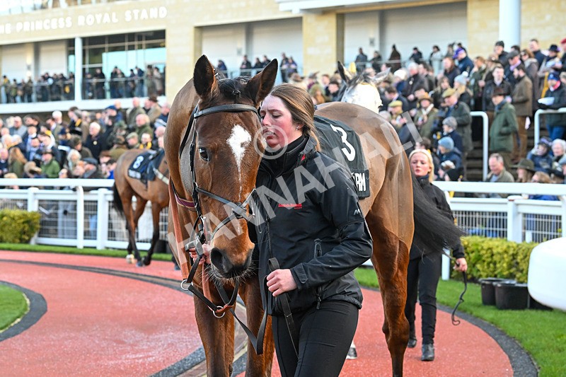 250125-Race 1-Whistle Stop Tour-3864 - Race 1