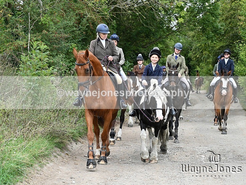 WJ7_0888 - Berks & Bucks Hound Exercise Blewbury 13-09-26