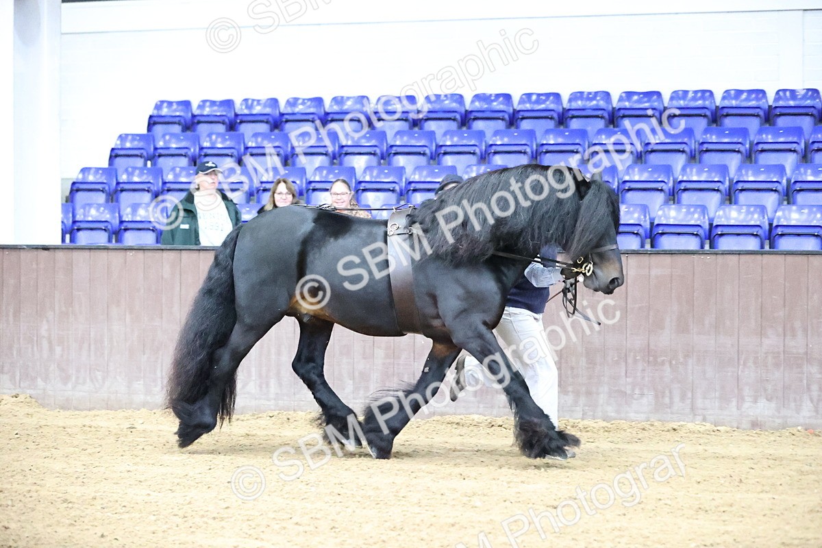 SBM_5267 - Class 32 - In Hand Cob Type