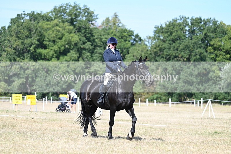 WJ7_9869 - Time 11:03 to 11:28