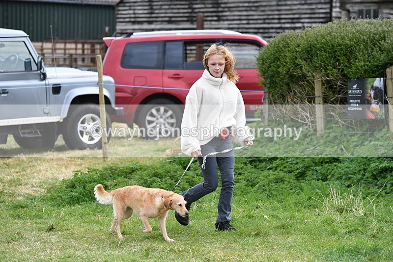 WJ5_9202 - Class 1 Best Cross Breed / Heniz 57