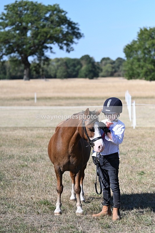 WJ7_2125 - Class 44 Child's Best Friend