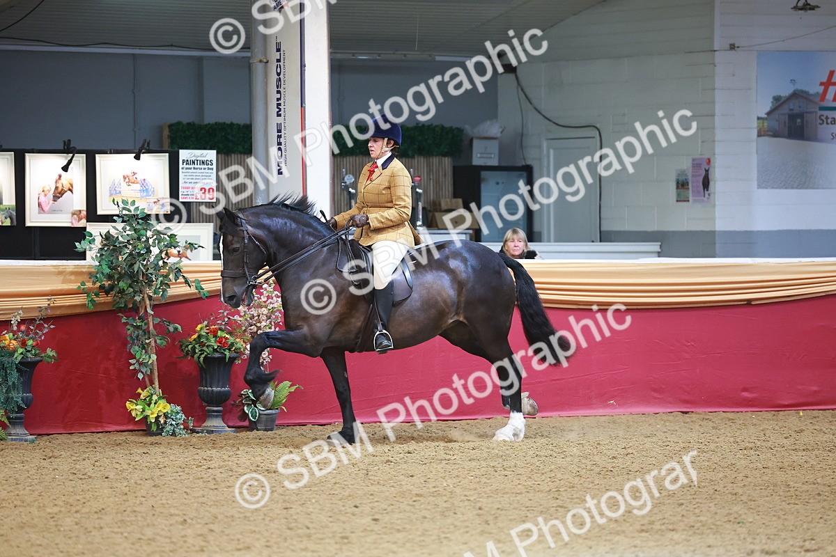 SBM_10677 - Class 103 - HOYS Veteran Qualifier - Ridden Pre Vet