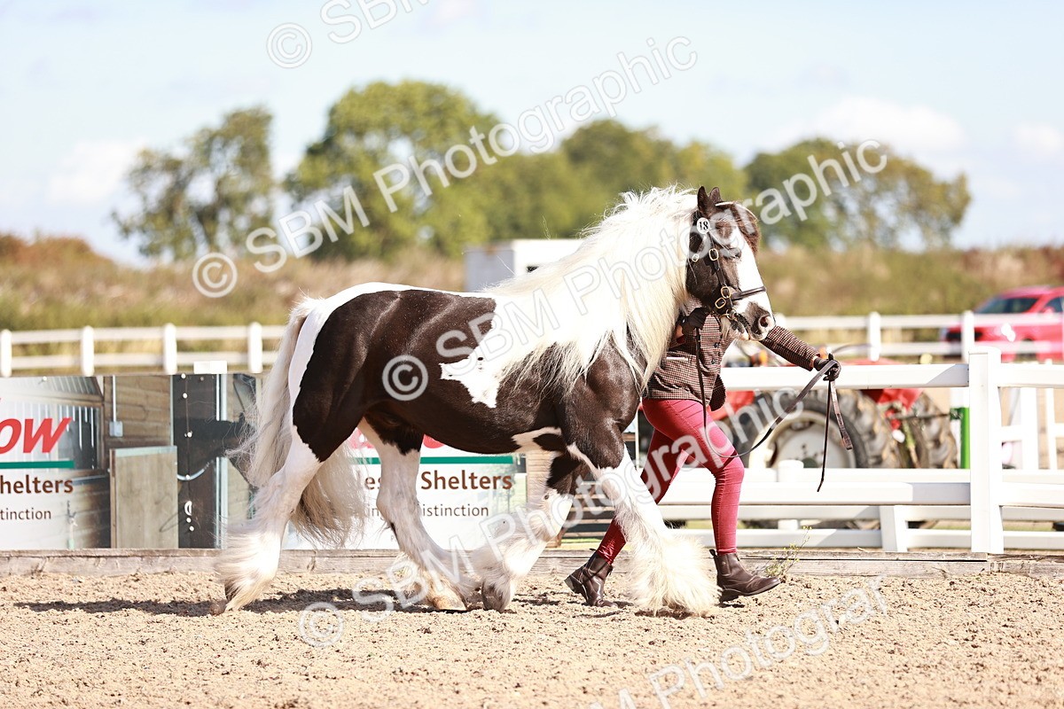SBM_12560 - Class 404 - IH Traditional - Native Cob