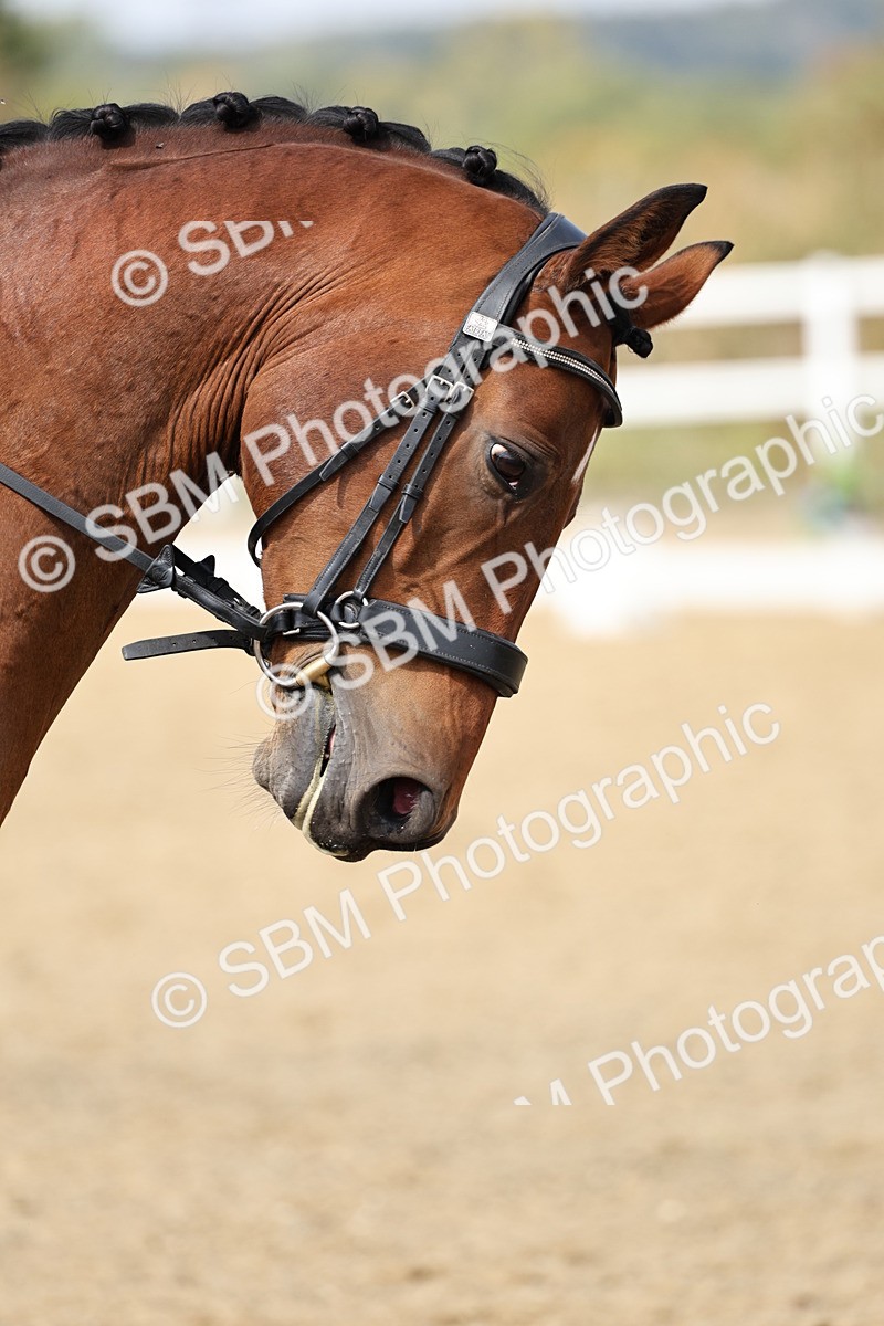 SBM_018726 - Class 16 - Novice 5 - 12.08-13.11