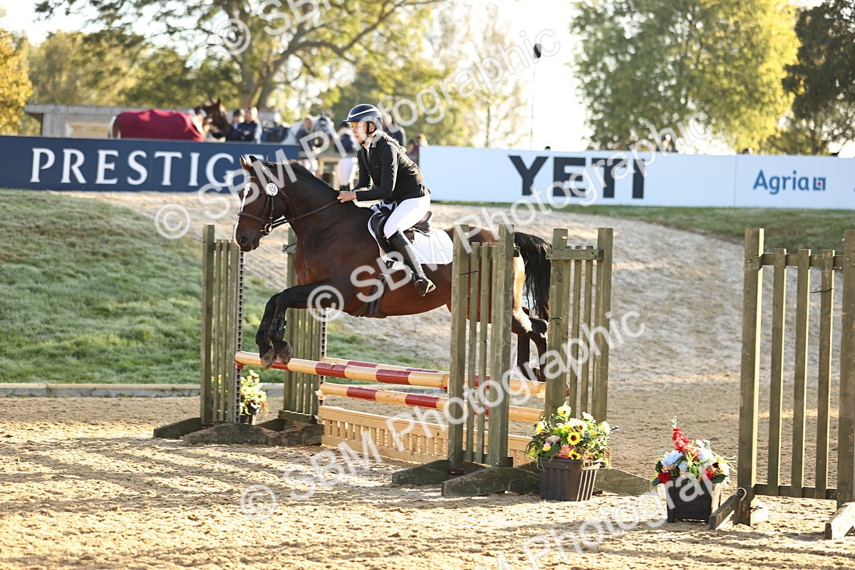 SBM_33125 - J38 - Senior 80cm Championship