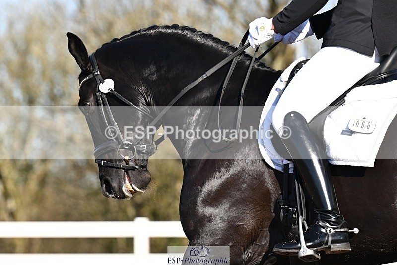 260214-104120-03459 - 086-Joe.Roome