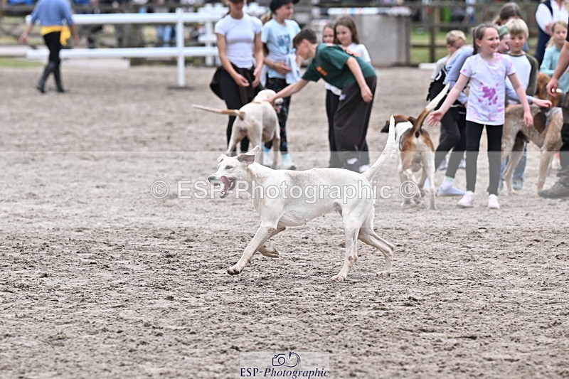 250524A-152518-12736 - East Devon Hounds