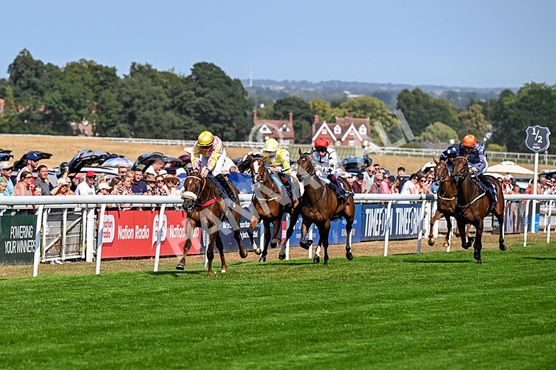 130826-Race 3-State Of Gold-8736 - Race 3 15.15pm Hornsea Ladies At The Races Nursery Handicap