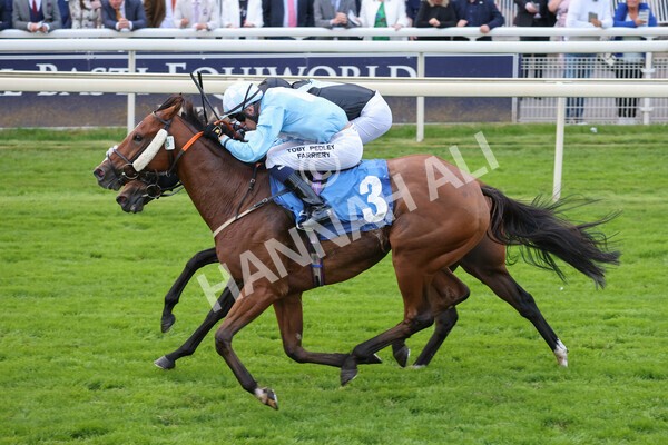 yr24092021r8-20 - Race 8 5.25pm William Hill Build Your Own Odds Apprentice Stakes