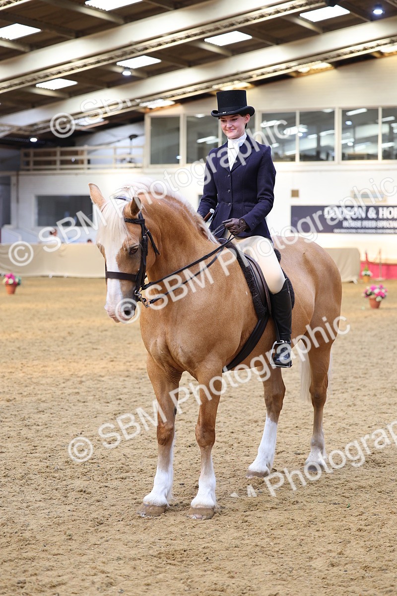 SBM_24452 - Class 906 - Supreme Final - Ridden Pre Vet